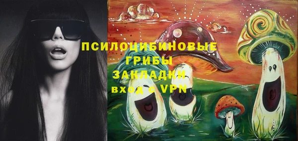 тгк Беломорск